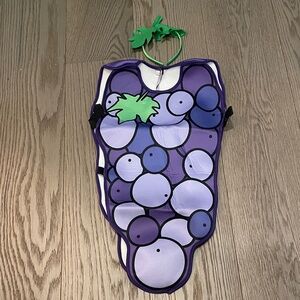 Purple Grape Costume with Green Leaf for kid